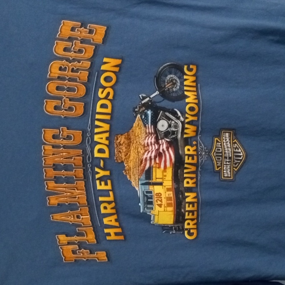 Harley-Davidson Blue Long Sleeve Tee Men’s Large - Picture 3 of 6